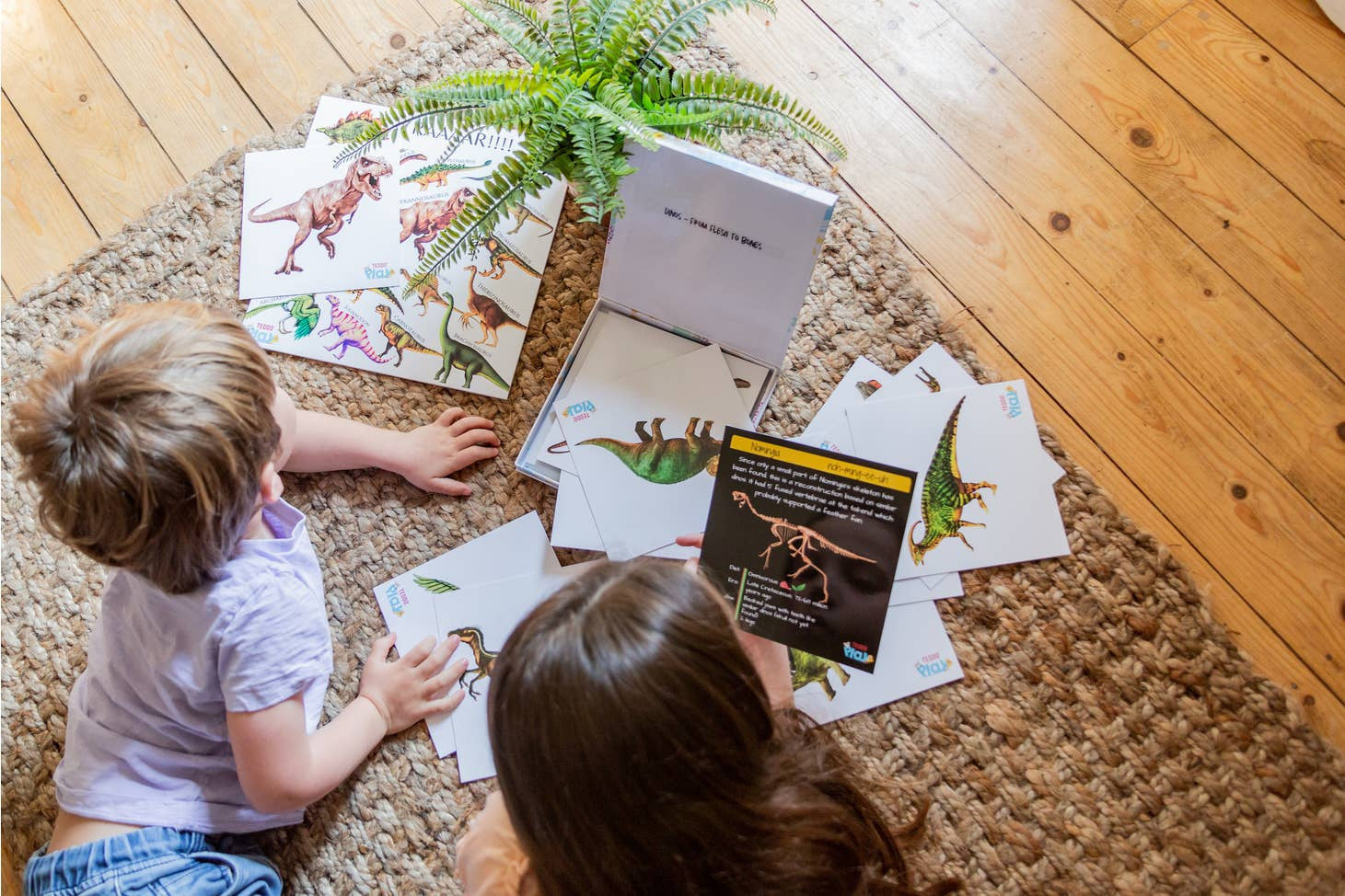 Dinosaur Fact Educational Gift Set4