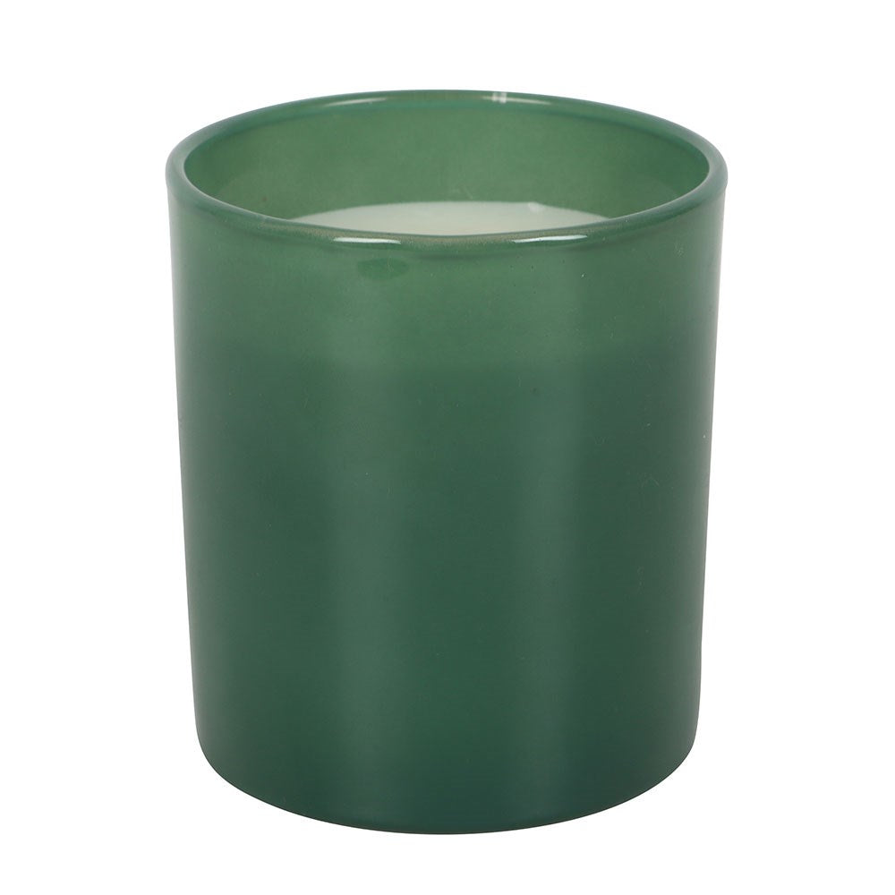 Green ceramic planter on a white background