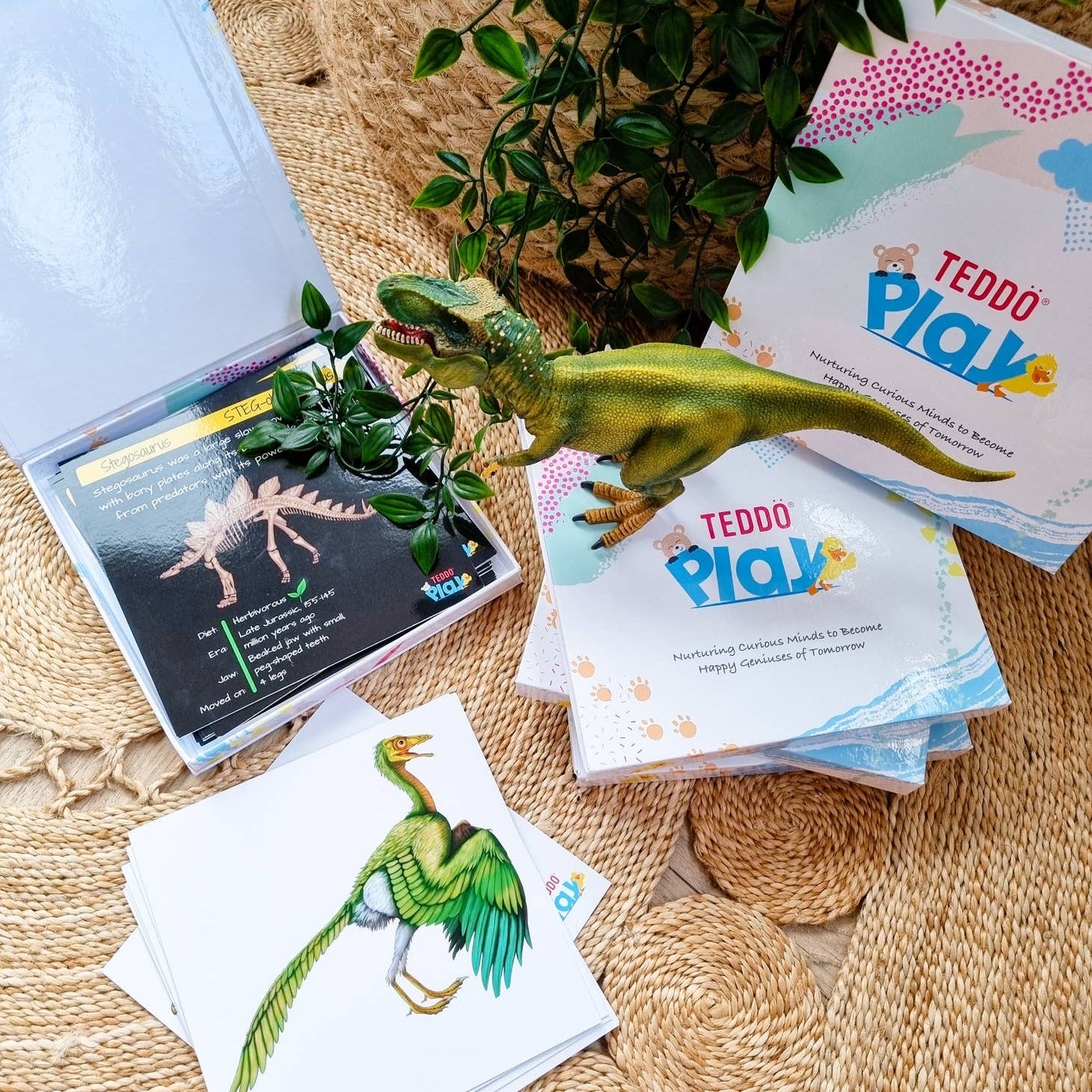 Dinosaur Fact Educational Gift Set