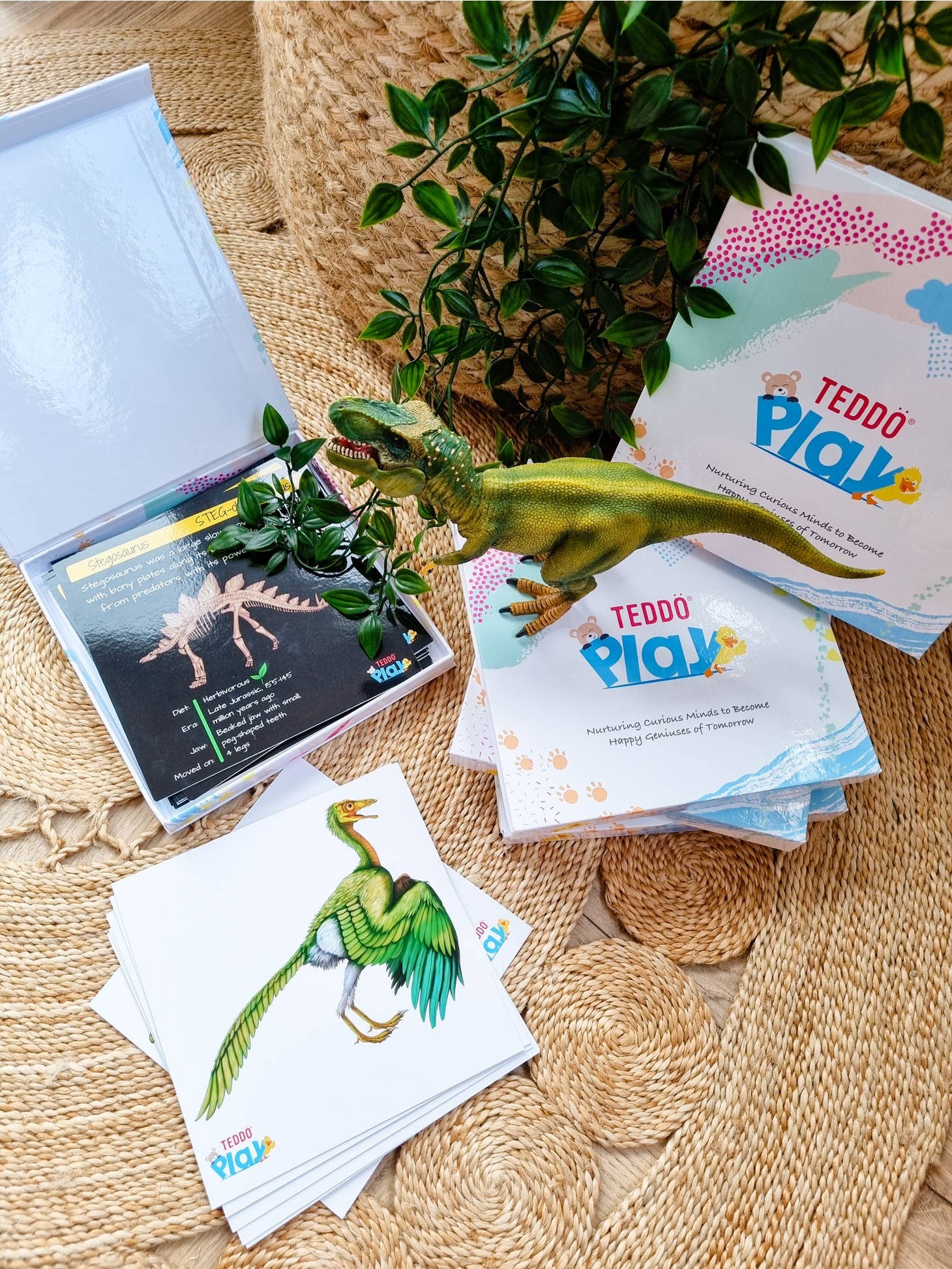 Dinosaur Fact Educational Gift Set