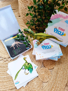 Dinosaur Fact Educational Gift Set