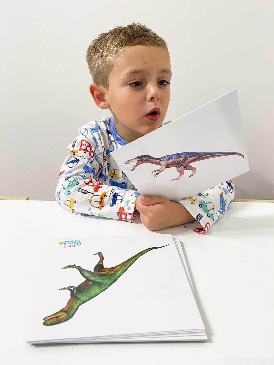 Dinosaur Fact Educational Gift Set10