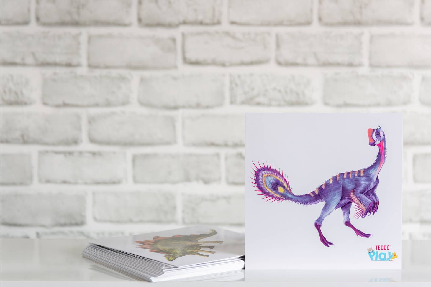 Dinosaur Fact Educational Gift Set2