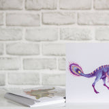 Dinosaur Fact Educational Gift Set2