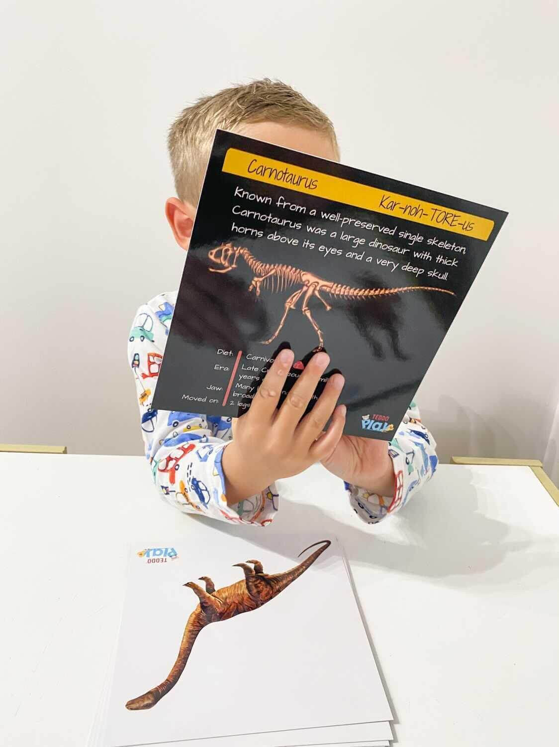Dinosaur Fact Educational Gift Set3