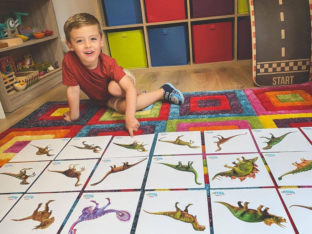 Dinosaur Fact Educational Gift Set5