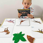 Dinosaur Fact Educational Gift Set6