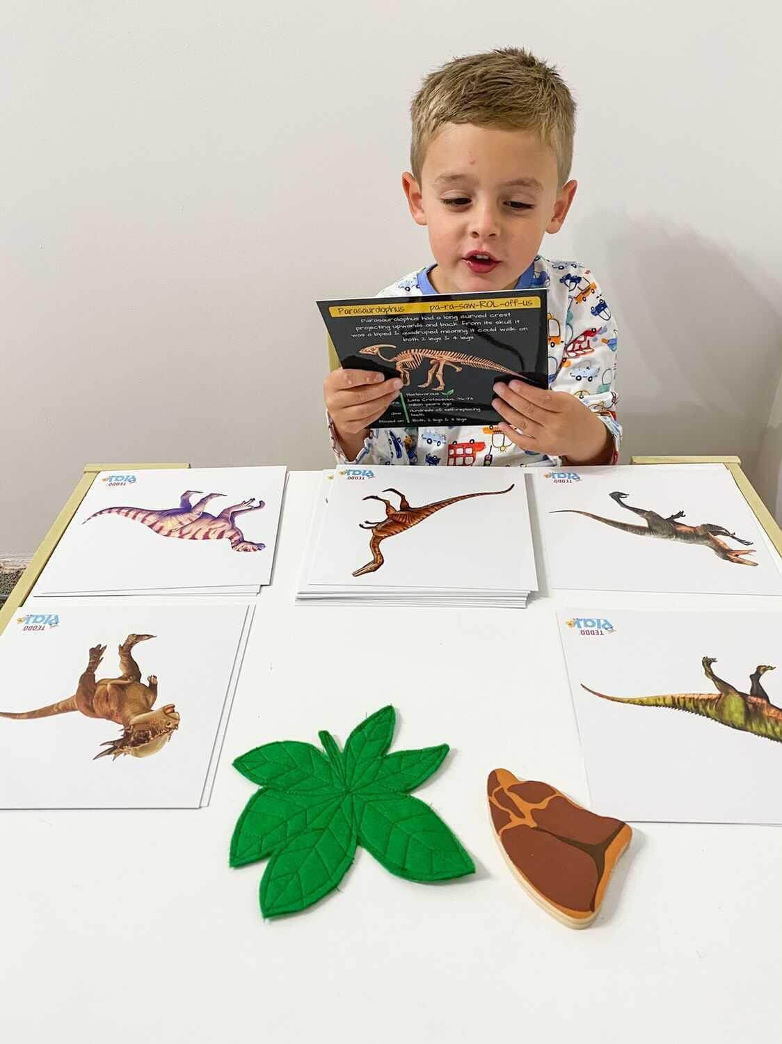 Dinosaur Fact Educational Gift Set6