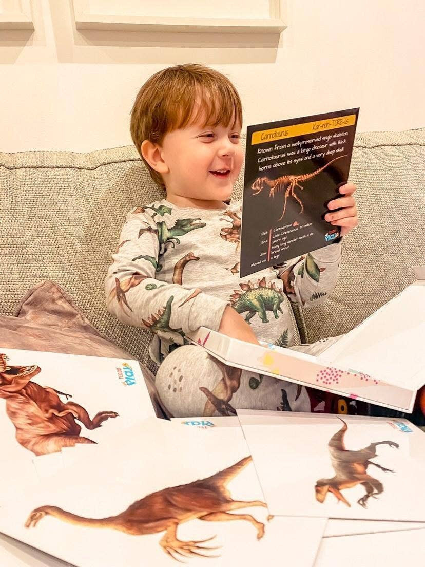 Dinosaur Fact Educational Gift Set7