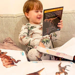 Dinosaur Fact Educational Gift Set7