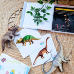 Dinosaur Fact Educational Gift Set8