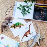 Dinosaur Fact Educational Gift Set8