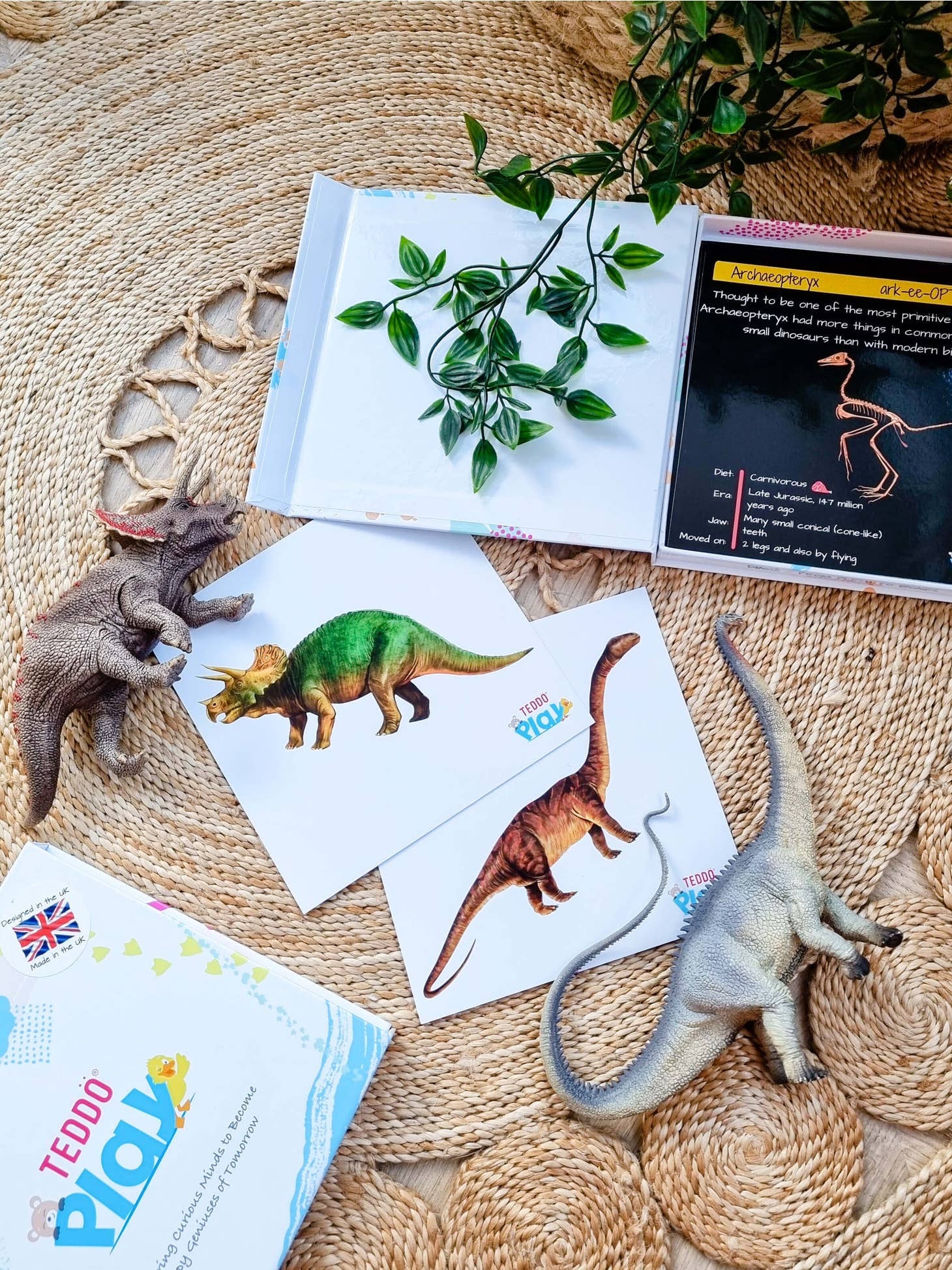Dinosaur Fact Educational Gift Set8