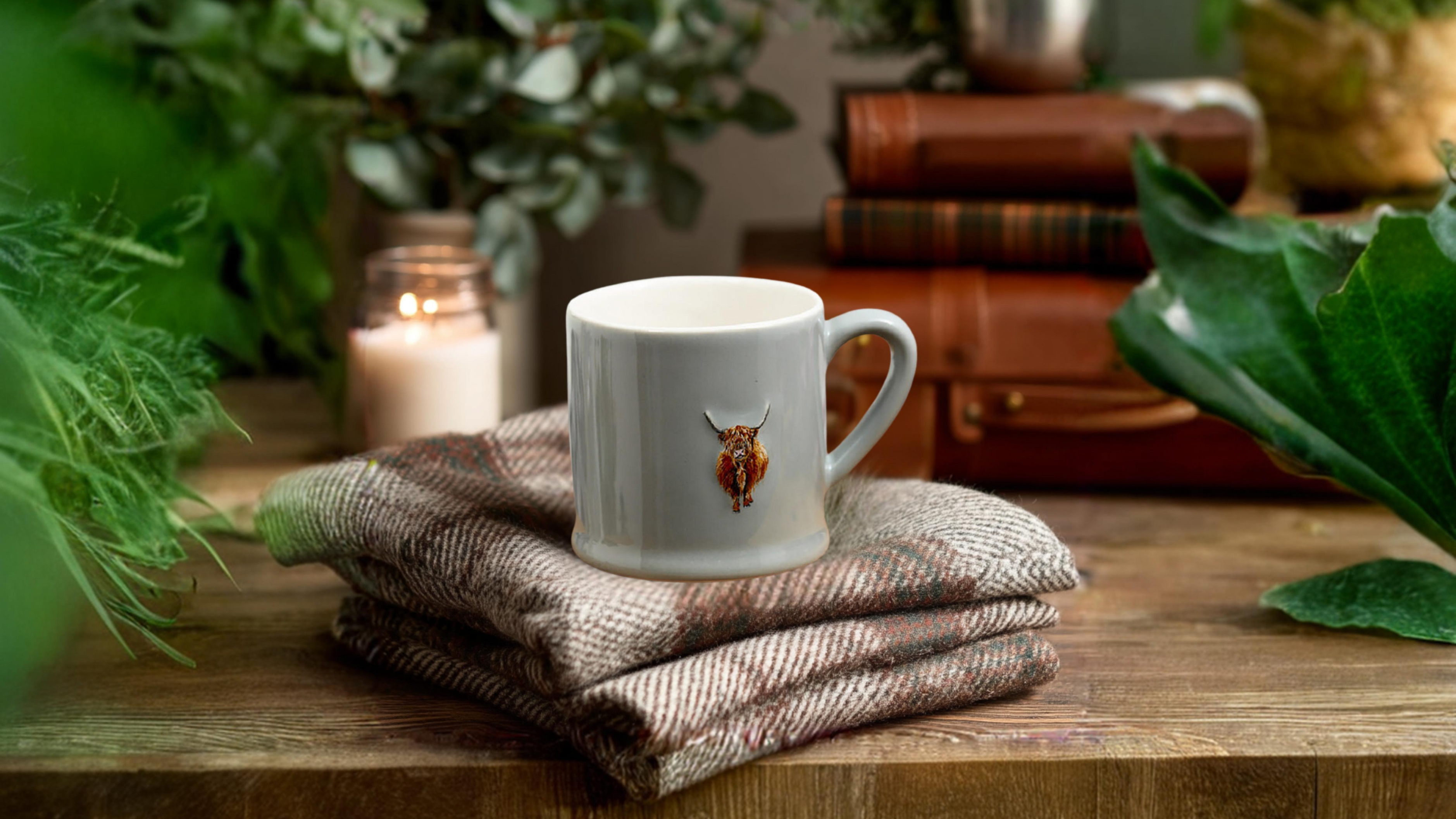 Highland Cow Mug Pale Green Embossed Mug with a design on a stack of woven coasters on a wooden table with plants and books in the background.