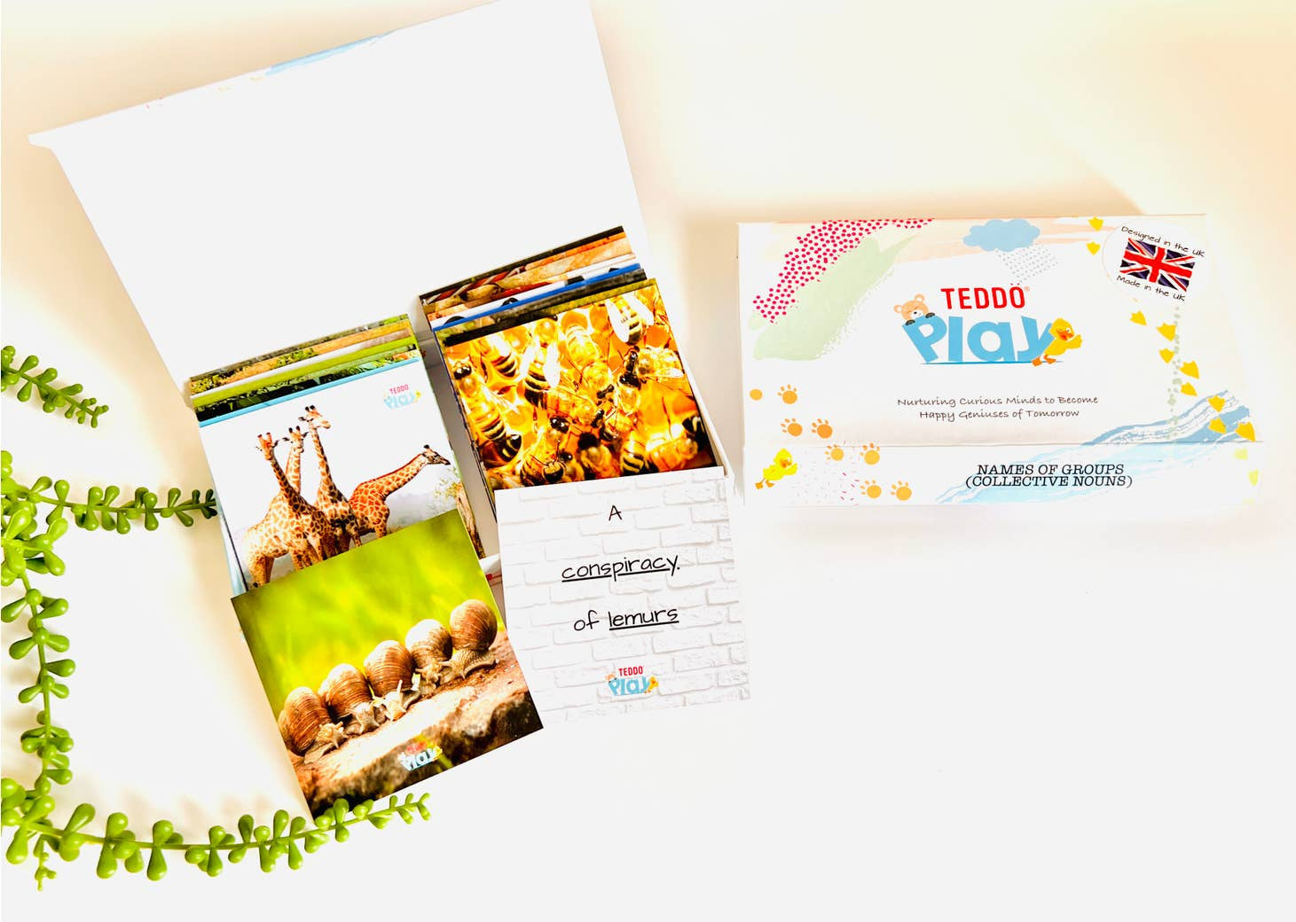 MINIs Back to School Educational Gift Sets