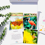 MINIs Back to School Educational Gift Sets10