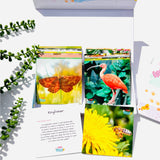 MINIs Back to School Educational Gift Sets10