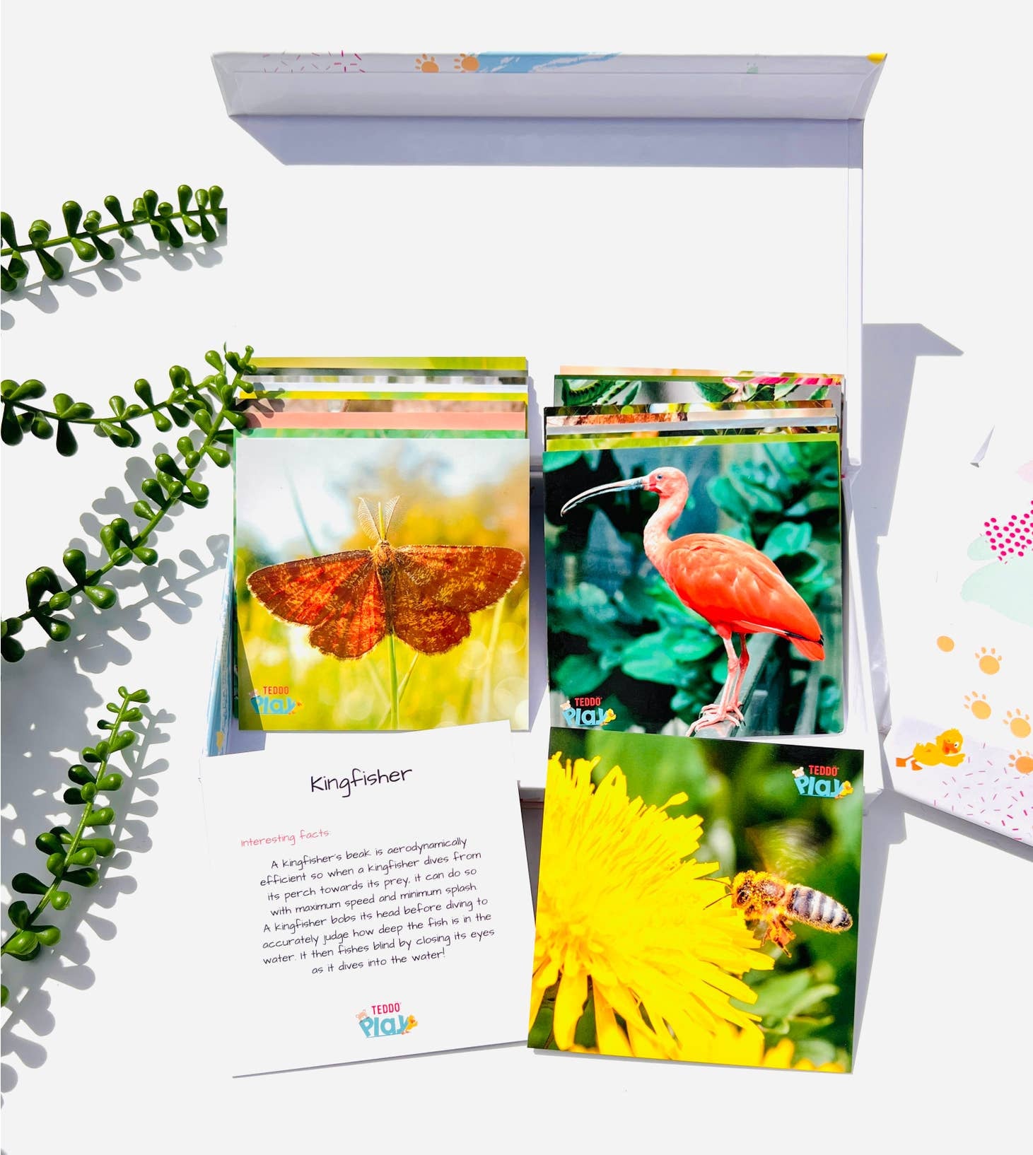 MINIs Back to School Educational Gift Sets10