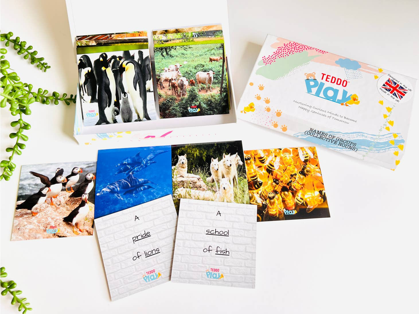 MINIs Back to School Educational Gift Sets11
