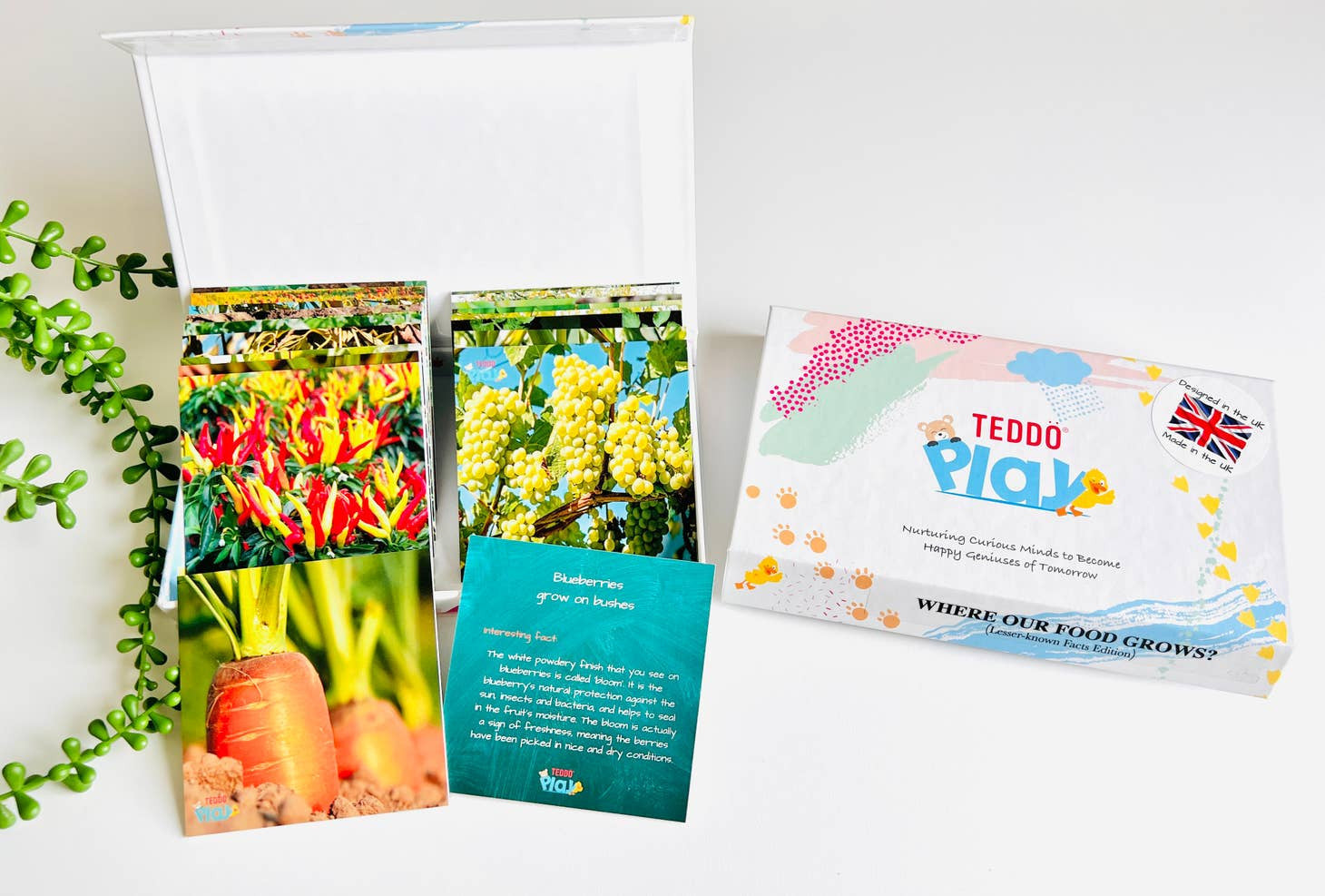 MINIs Back to School Educational Gift Sets12