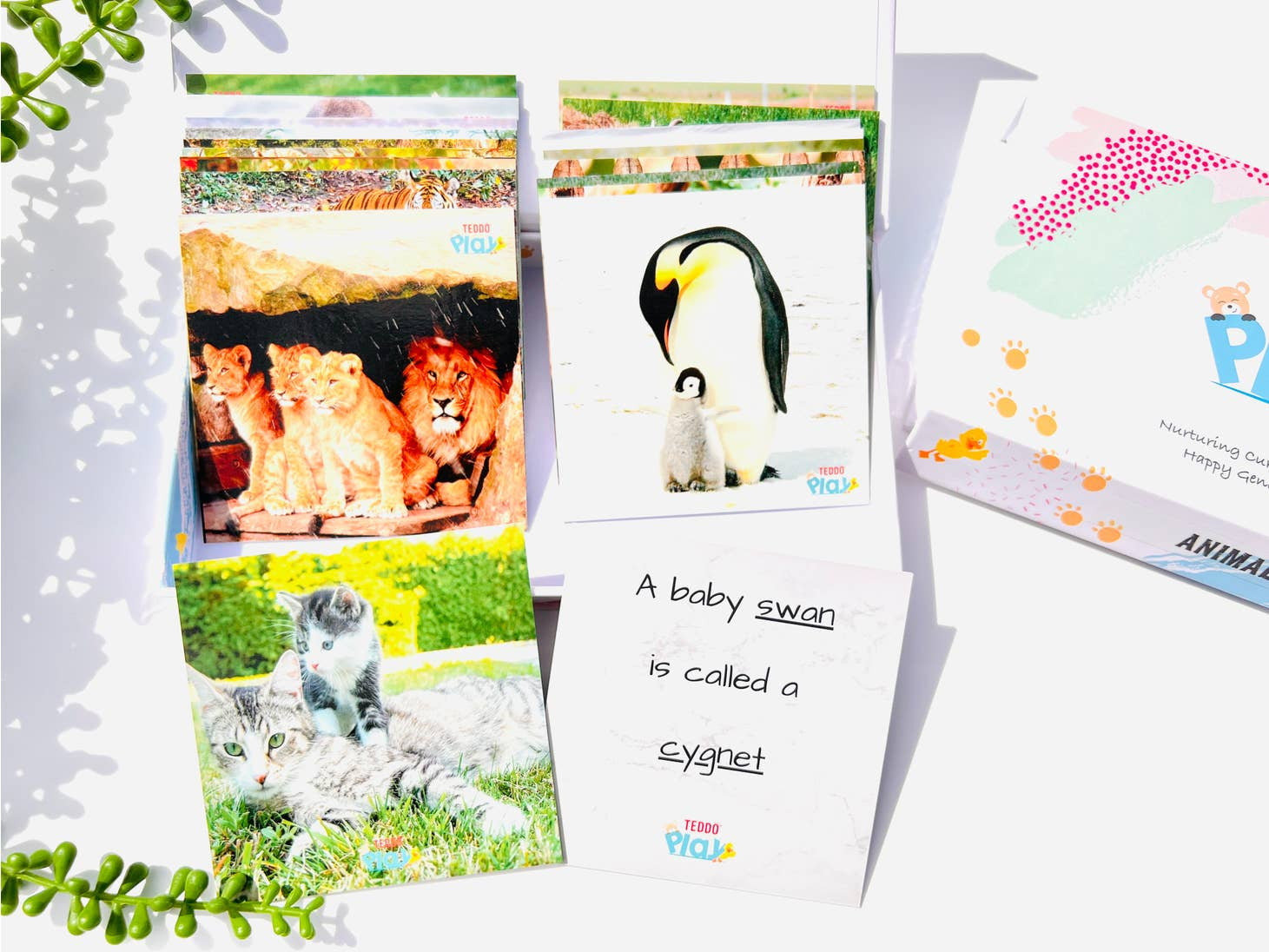 MINIs Back to School Educational Gift Sets13