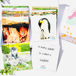 MINIs Back to School Educational Gift Sets13