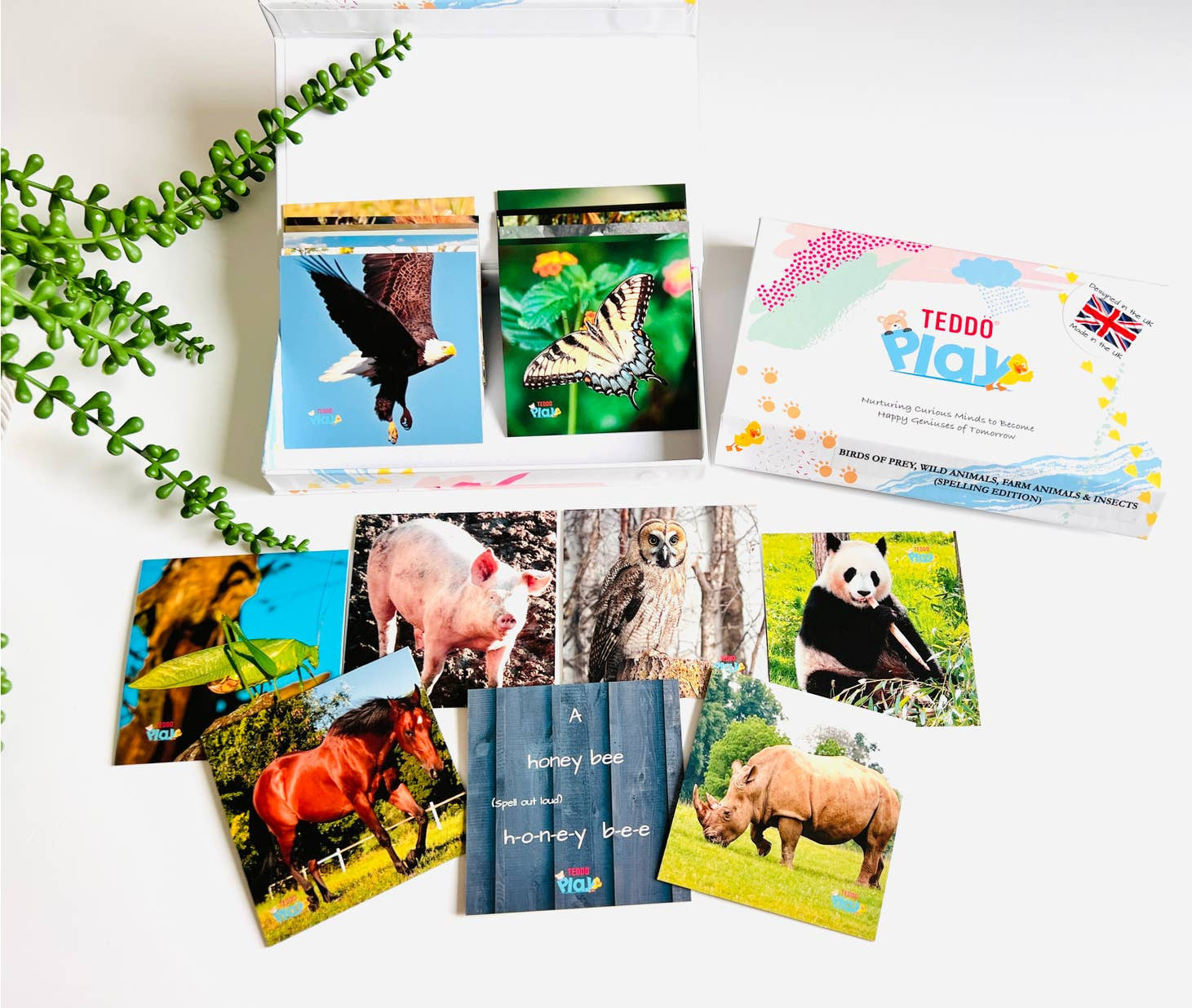MINIs Back to School Educational Gift Sets3