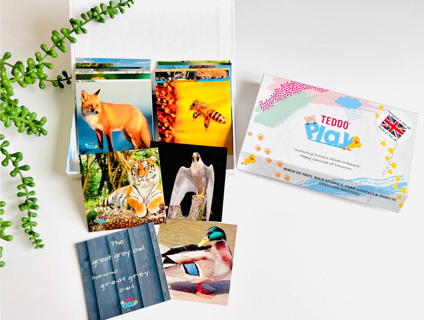 MINIs Back to School Educational Gift Sets4
