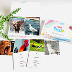 MINIs Back to School Educational Gift Sets5