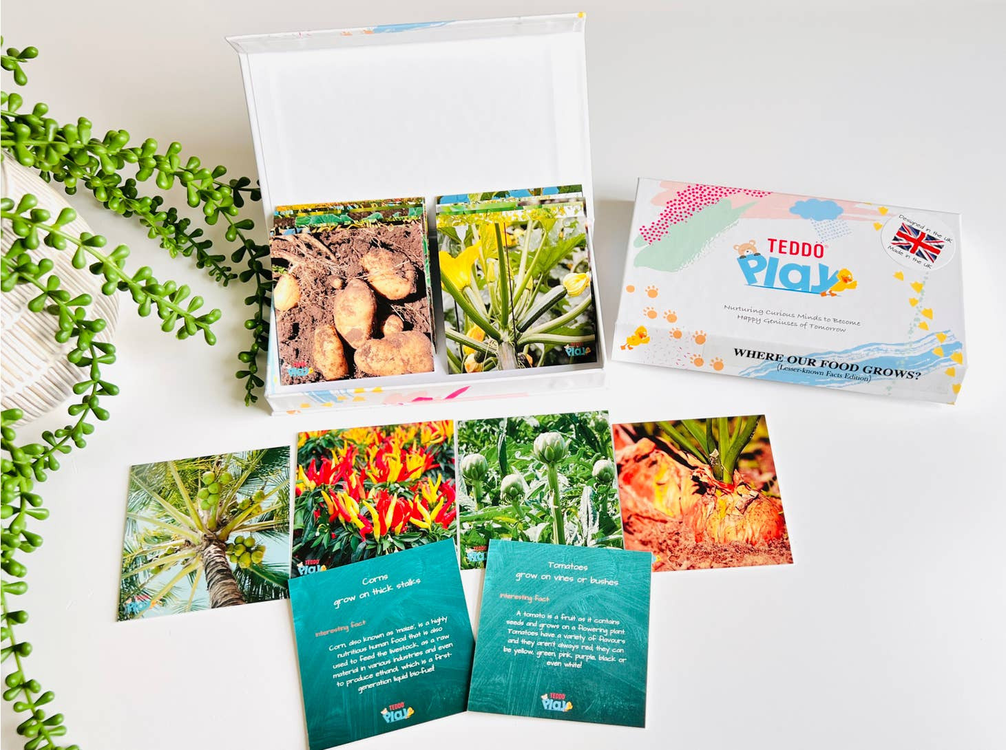 MINIs Back to School Educational Gift Sets8