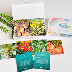 MINIs Back to School Educational Gift Sets8