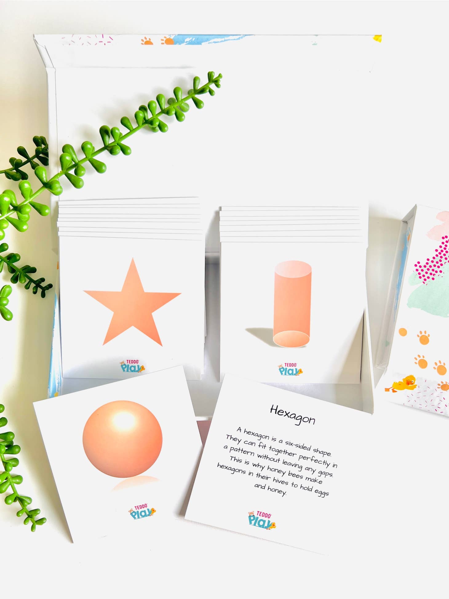 MINIs Back to School Educational Gift Sets9