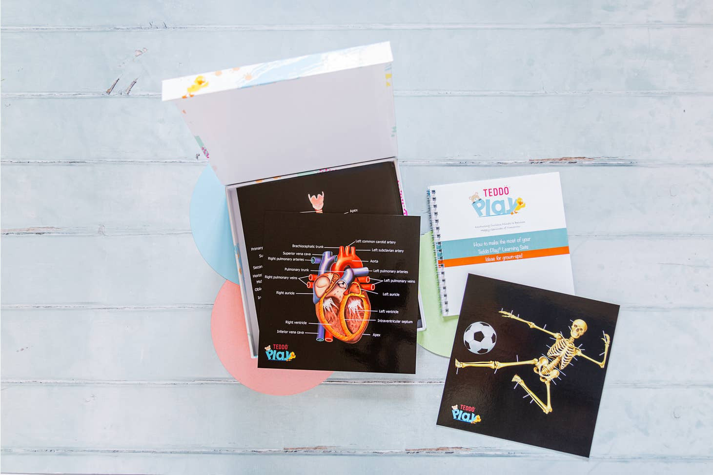 Our Bodies - Inside & Outside Educational Gift Set