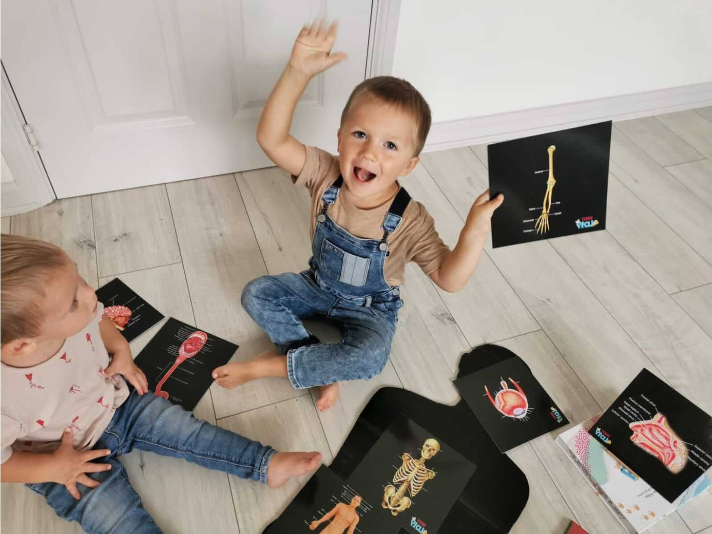 Our Bodies - Inside & Outside Educational Gift Set10