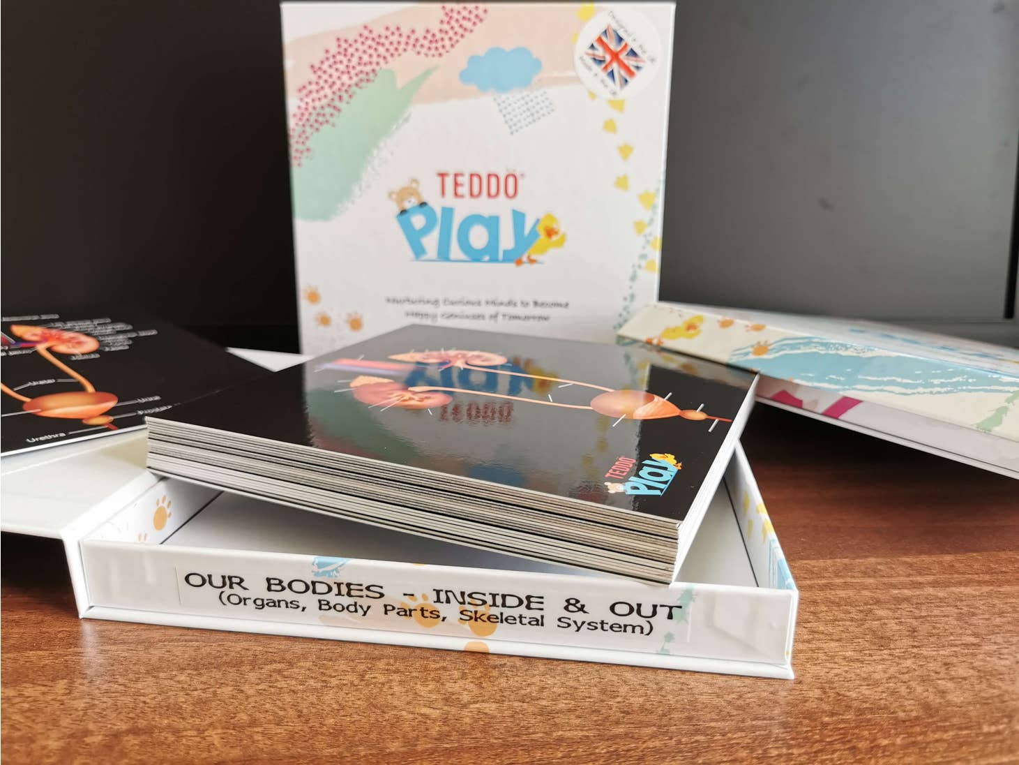 Our Bodies - Inside & Outside Educational Gift Set11