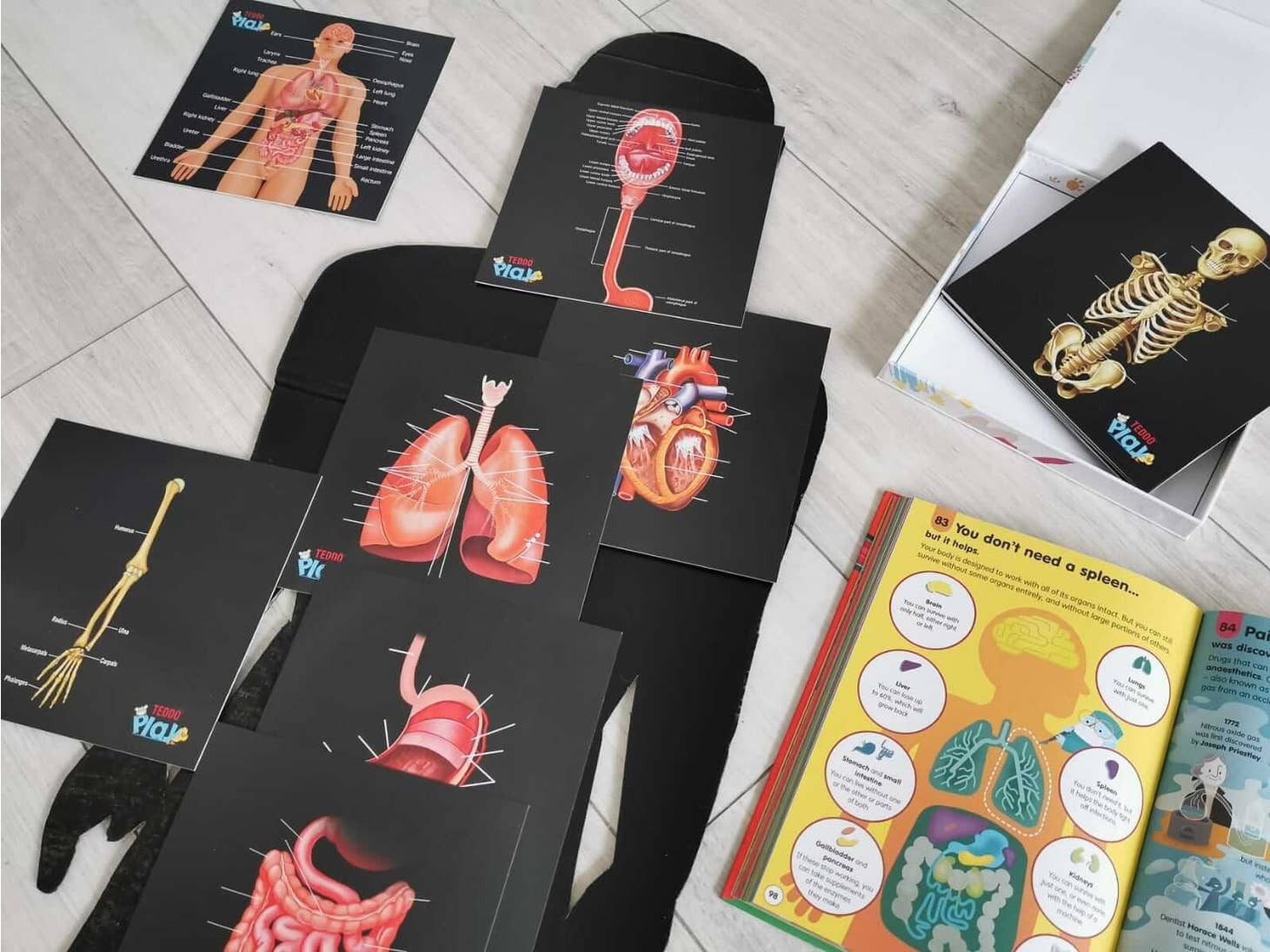 Our Bodies - Inside & Outside Educational Gift Set2