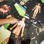 Our Bodies - Inside & Outside Educational Gift Set3