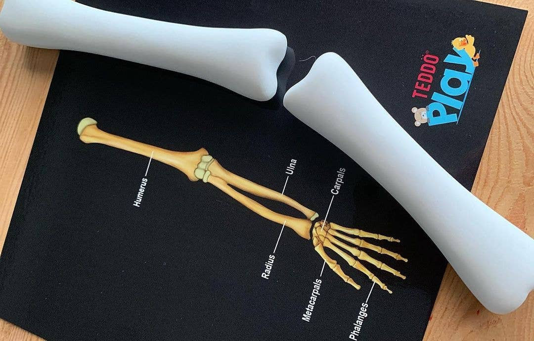 Our Bodies - Inside & Outside Educational Gift Set4