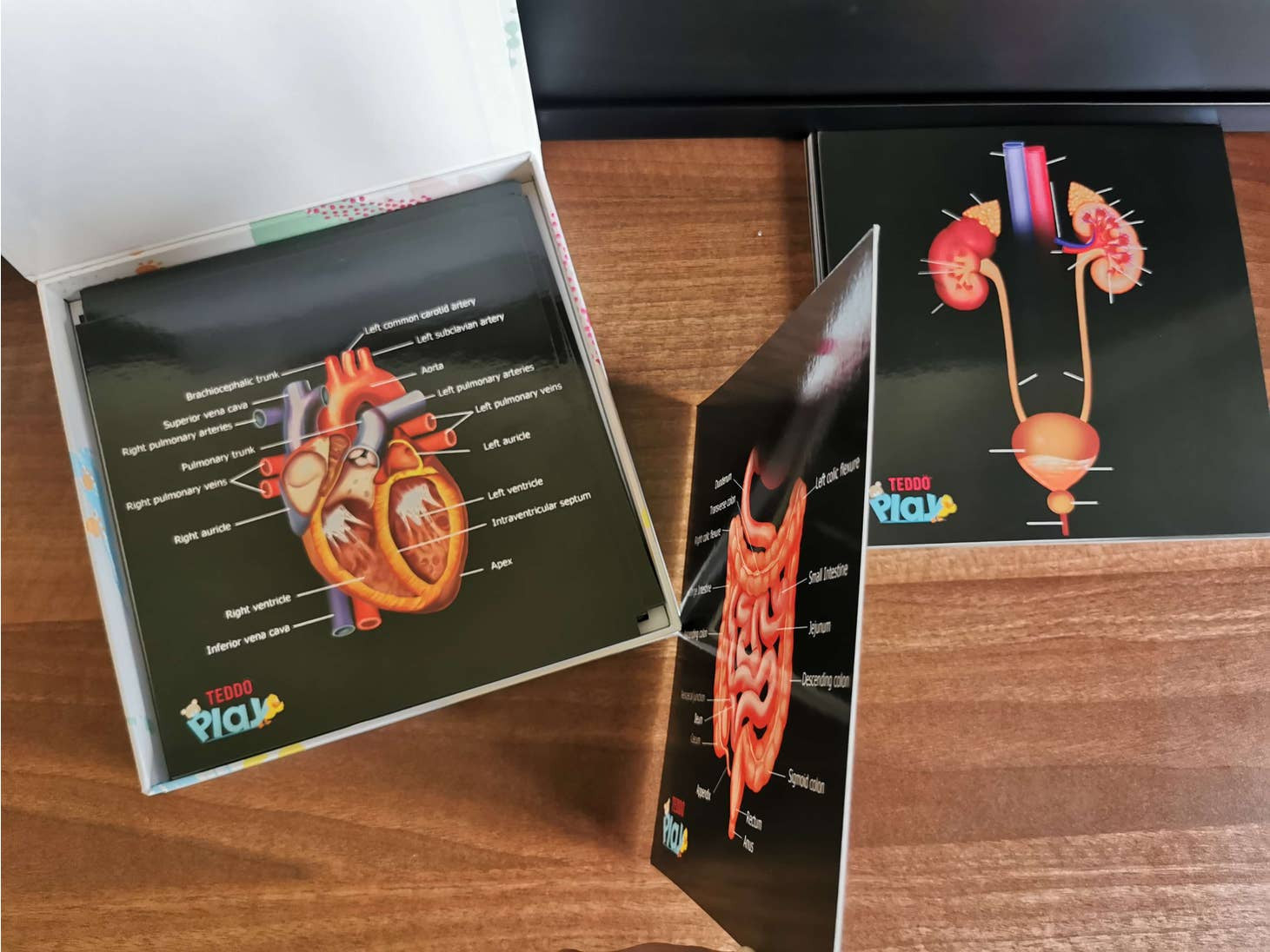 Our Bodies - Inside & Outside Educational Gift Set5