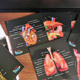 Our Bodies - Inside & Outside Educational Gift Set6