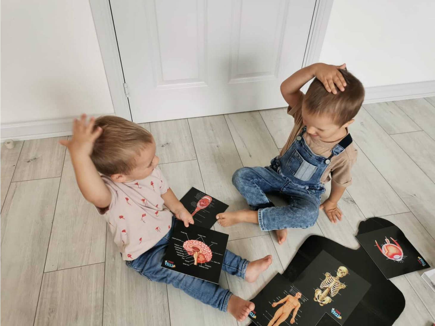 Our Bodies - Inside & Outside Educational Gift Set8