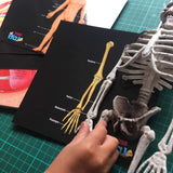 Our Bodies - Inside & Outside Educational Gift Set9