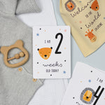 A set of personalised milestone cards with safari animal illustrations, a drawstring bag, and a small wooden clip, all laid out on a grey fabric background.
