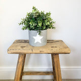 White Star Cement Planter - Small