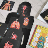 Our Bodies - Inside & Outside Educational Gift Set