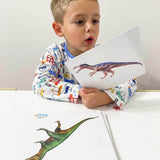 Dinosaur Fact Educational Gift Set