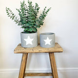 White Star Cement Planter - Medium