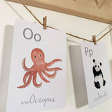 Alphabet Flashcards