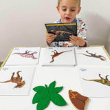 Dinosaur Fact Educational Gift Set