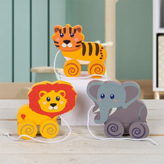 Wooden Pull Along Toy
